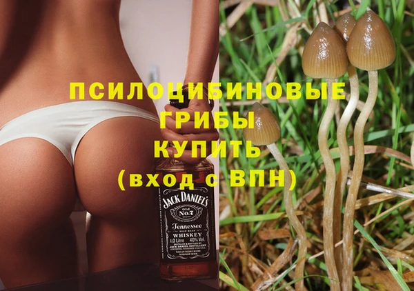 jwh Аркадак
