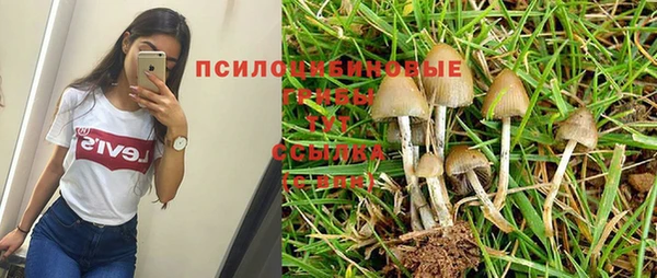 jwh Аркадак