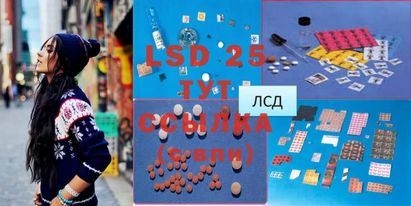 гидра Новозыбков